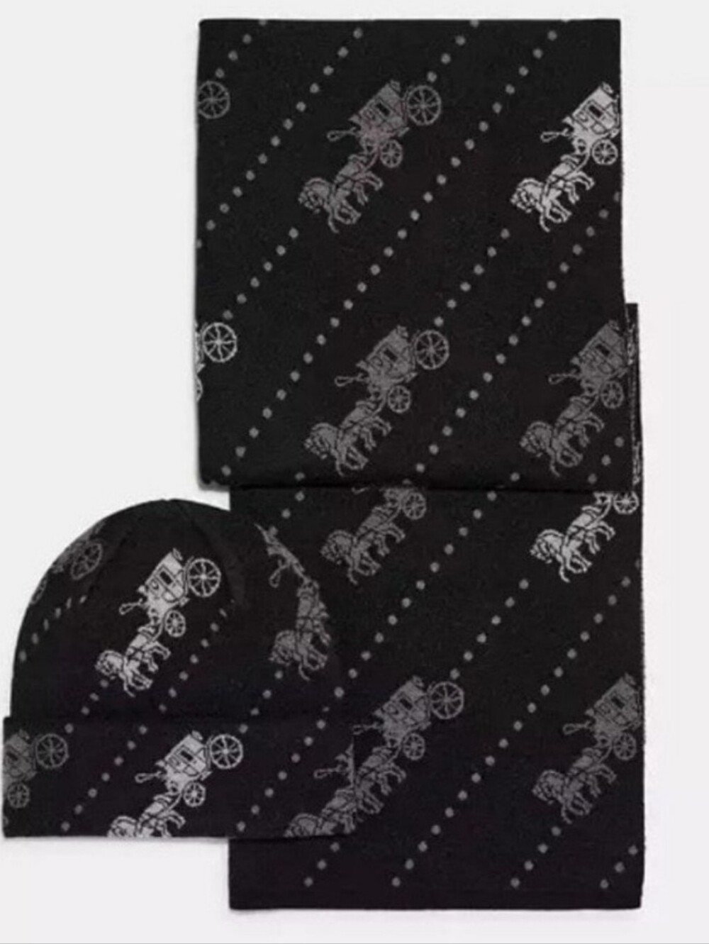 Coach Hat& Scarf